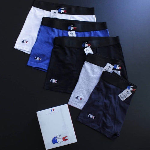 KIT 9 cuecas Lacoste França